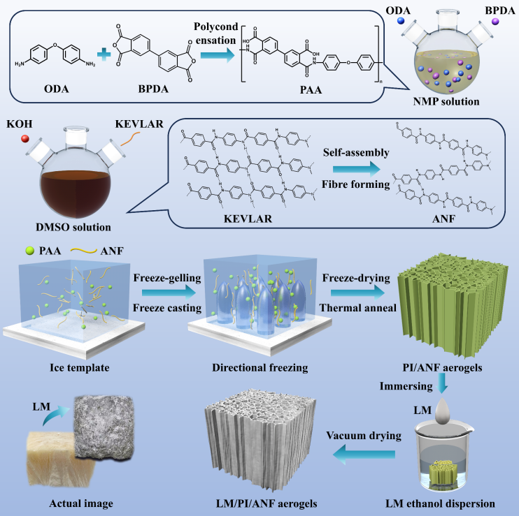 南京航空航天大学郝秀清教授&周金堂教授AFM：具有可编程电磁切换功能的液态金属/聚酰亚胺/芳纶纳米纤维气凝胶，用于智能电磁波管理